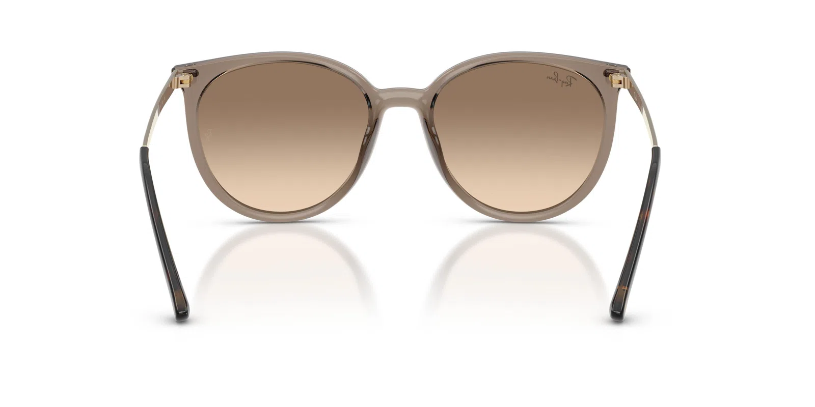Ray-Ban 4464L Sunglasses - view 8